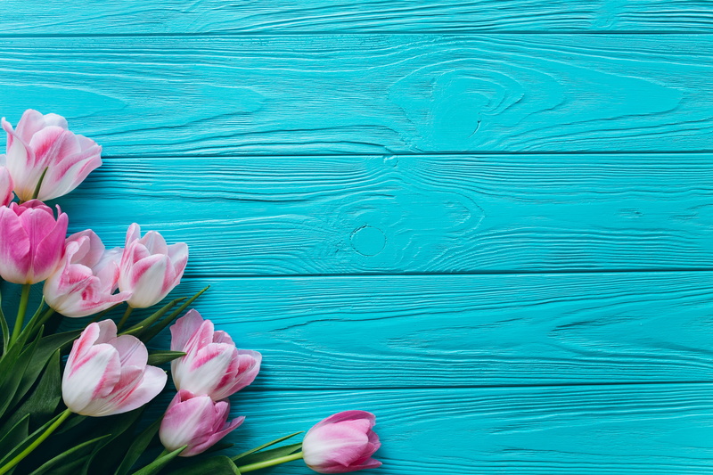 flowers, Background, Tulips, Spring, 4K