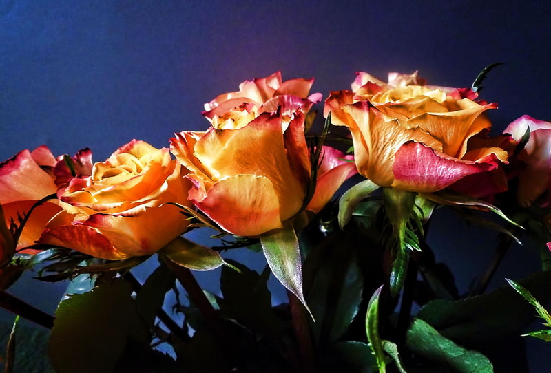 beauty, flower, 3d and abstract, yellow, blessing, red, caring, loving, lasting, friendship, 1080P, flowers