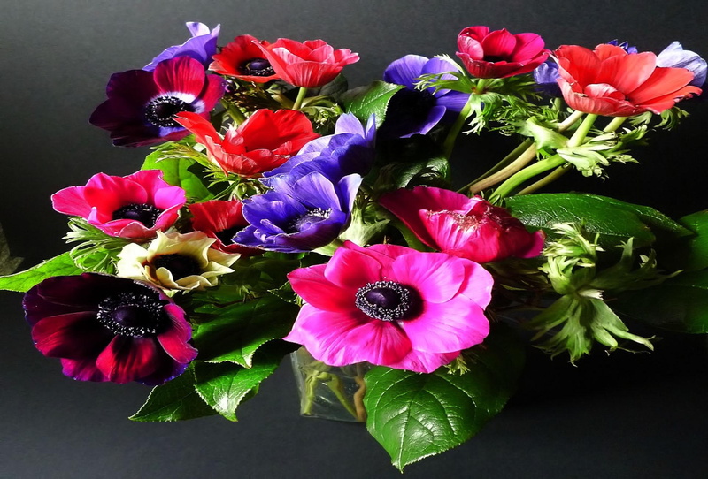 lasting, caring, 1080P, friendship, beauty, loving, boutique, flower, 3d and abstract, blessing