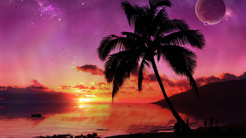 1080P, clouds, palm trees, nature, sunset, digital art, sky, space art, beach