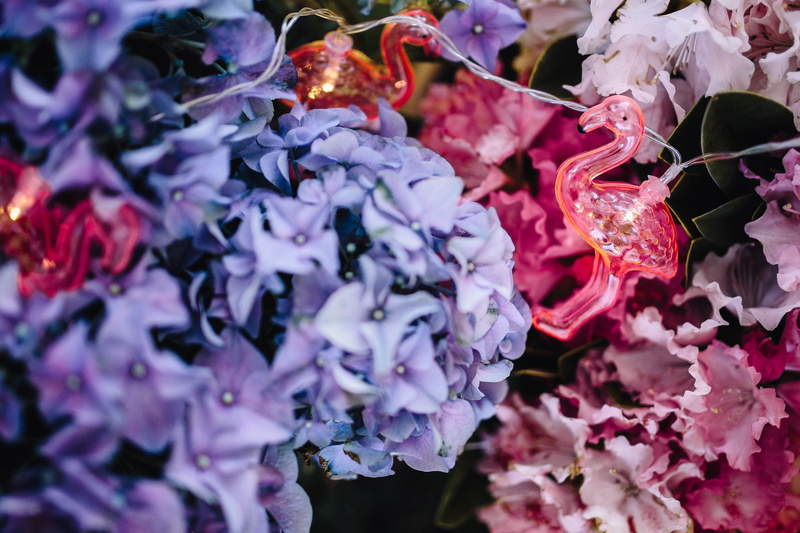 lamp, backgrounds, garland, hydrangea, fragility, full frame, 4K, flower arrangement, nature, amp, rhododendron, light, flowers, pink, flowering plant