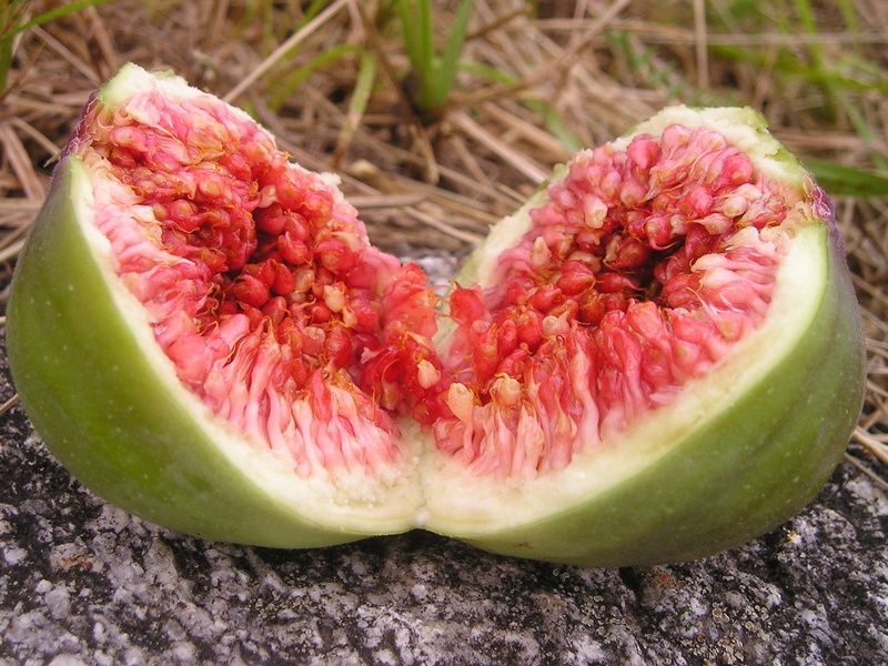 close-up, food And Drink, healthy Eating, food, pink color, open, Ficus, Fig, green, slice, summer, rosids, focus on foreground, nature, day, 1080P, tree