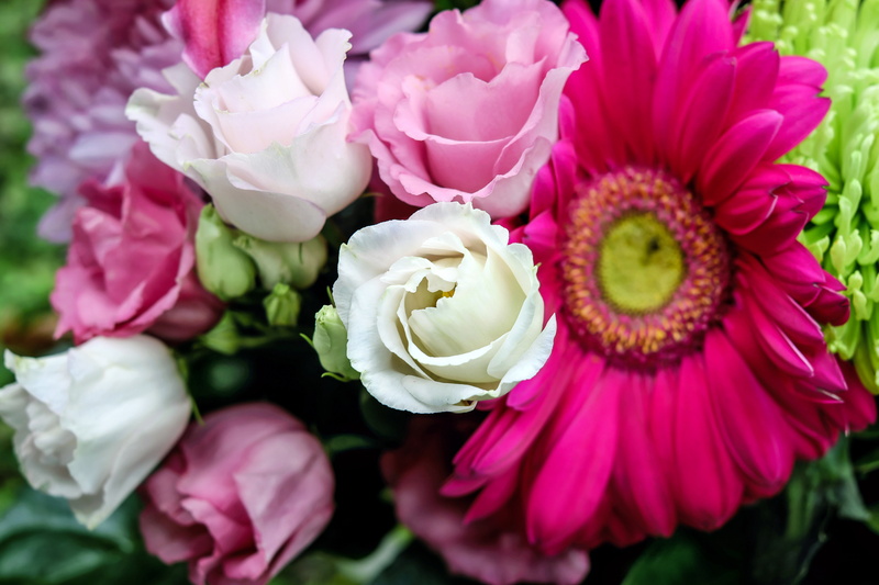 inflorescence, petal, bouquet, tiresome, rose - flower, purple, springtime, outdoors, closeup, nature, gerbera, flowers, beauty in nature, flower head