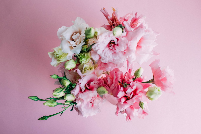 colored background, pottery, flower bouquet, ikebana, flower head, floral design, jar, blossom, ornament, bouquet, pink, fragility, plant, nature, beauty in nature