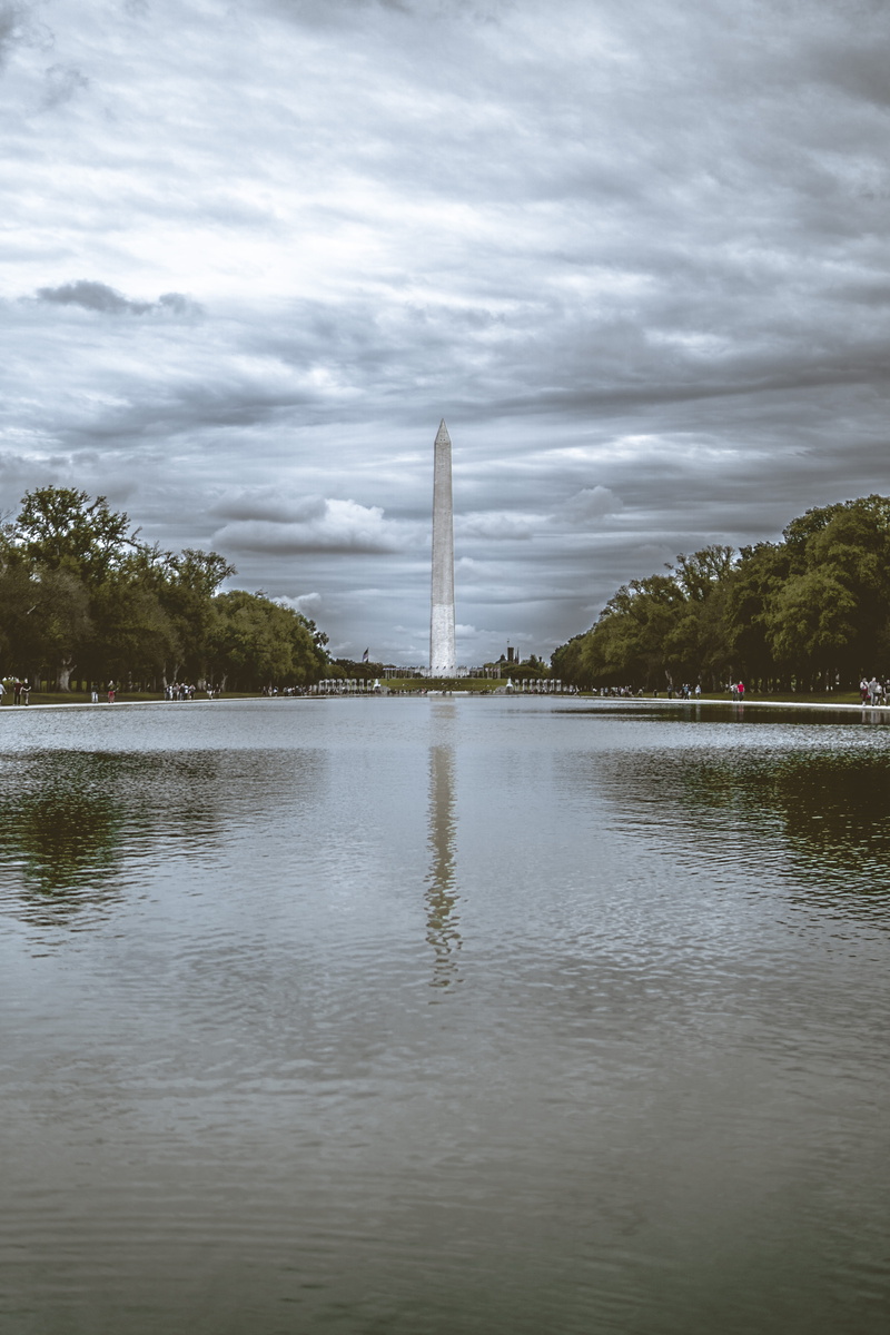 outdoors, building exterior, no people, obelisk, worlds tallest, beauty in nature, tree, reflecting pool, washington, plant, column, tall structure, reflection