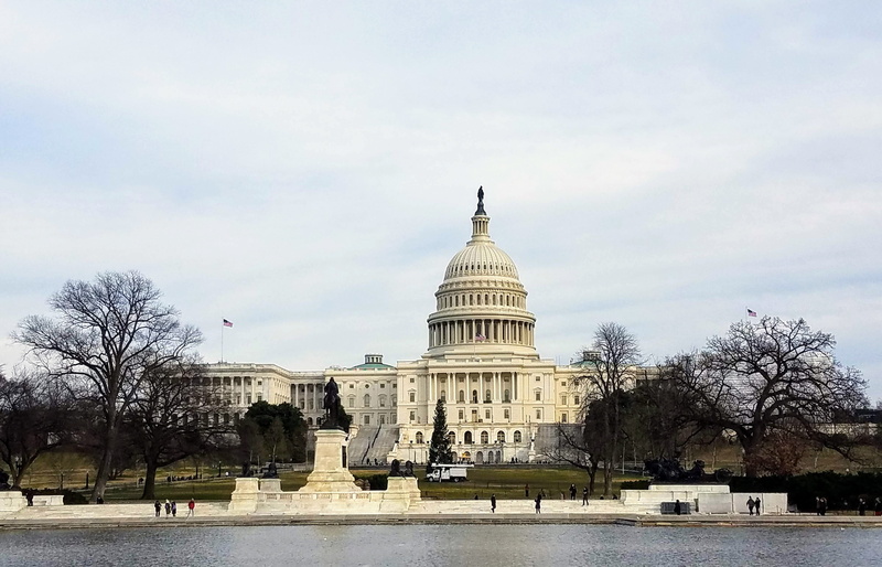 washington dc, city, day, travel destinations, outdoors, dome, travel, sky, tree, nature, built structure, incidental people, plant, united states capitol