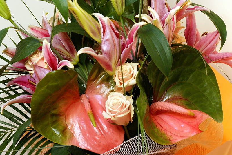 celebration, green, pink Color, pollen, indoors, summer, flower Head, elegance, growth, bouquet, blossom, decoration, springtime, flowering plant, flower arrangement