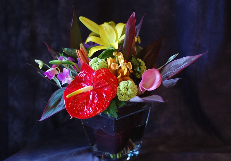 single Flower, flower Head, red, bouquets, close-up, petal, petaled, garnish, vase, gift, 1080P, celebration, lily, beauty In Nature, anthurium, calla