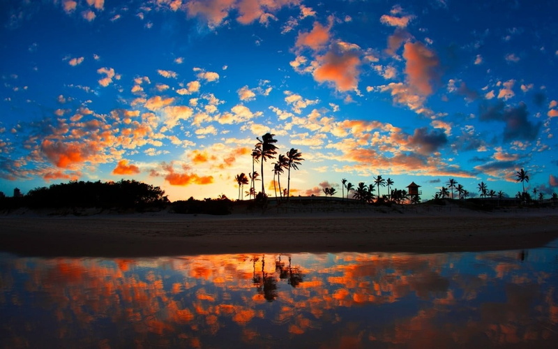 orange color, tropical, palm trees, lake, tranquil scene, sand, water, waterfront, cloud - sky, beach, tree, outdoors, 720P, tranquility, sea, nature