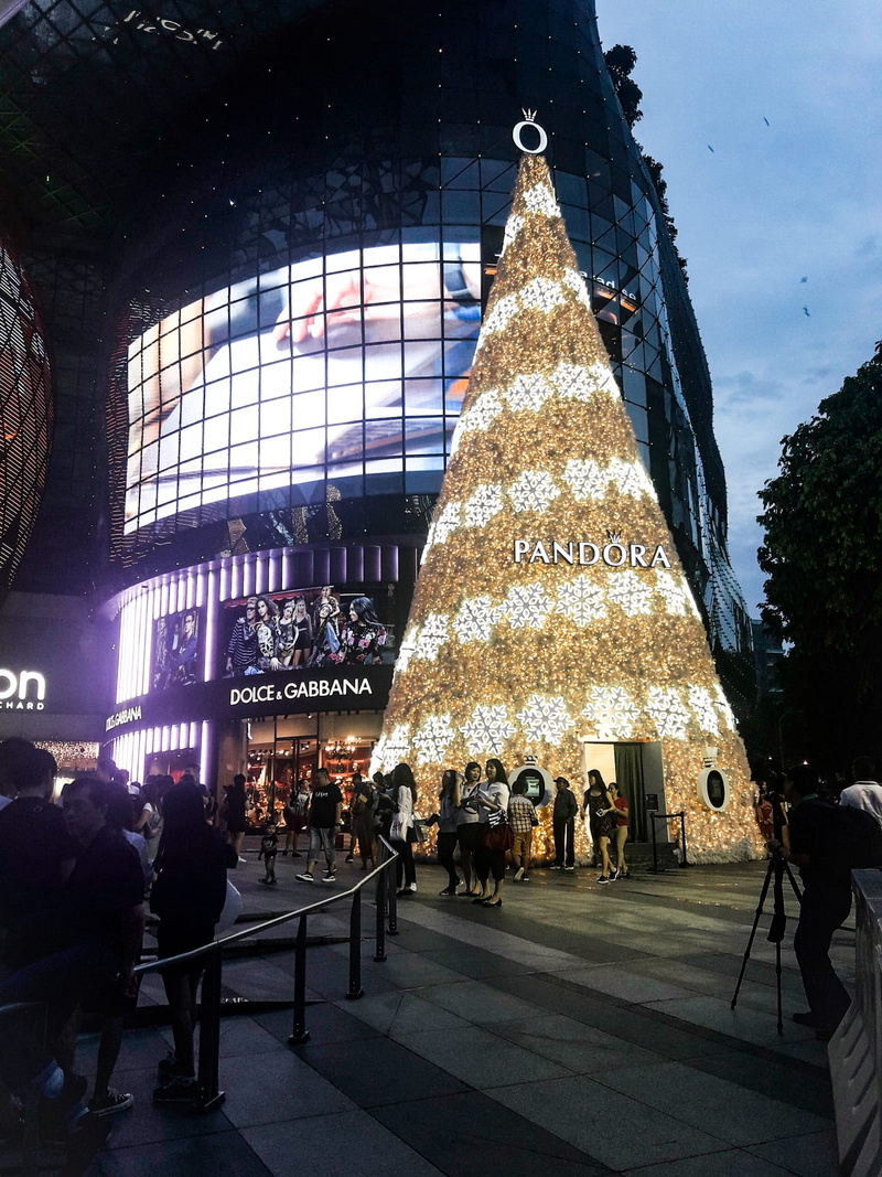 christmas decoration, decoration, men, celebration, built structure, building exterior, incidental people, orchard road, christmas, crowd, real people