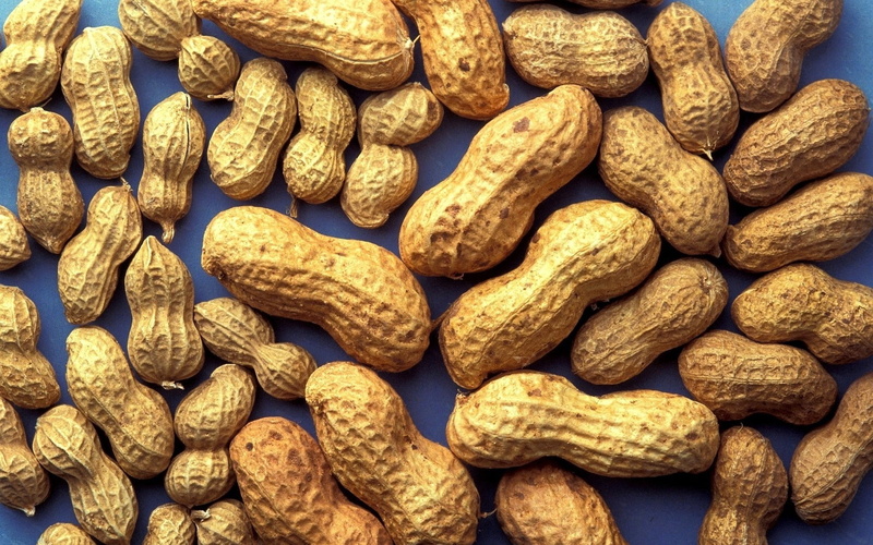 gourmet, still life, shell, heap, market, peanuts, bread, freshness, nut, close-up, large group of objects, abundance, vegetarian Food, no people, background