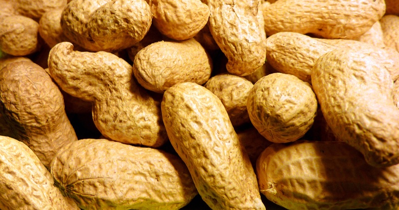 indoors, food, nut - food, nuclear, nut, peanut, 2K, nuts, abundance, fruit, snack, large group of objects, wellbeing, textured, bread, bunch, no people