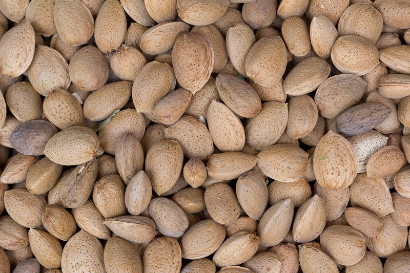 nutritious, ingredient, freshness, nuts, healthy eating, market, agriculture, variation, full frame, for sale, nut - Food, food, still life, lot, fruit