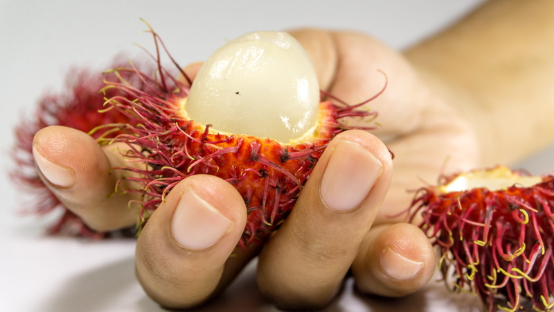 human body part, 5K, holding, freshness, health, ftuits, Background, green, agriculture, raw food, preparation, lychee, dessert, juicy, healthy eating