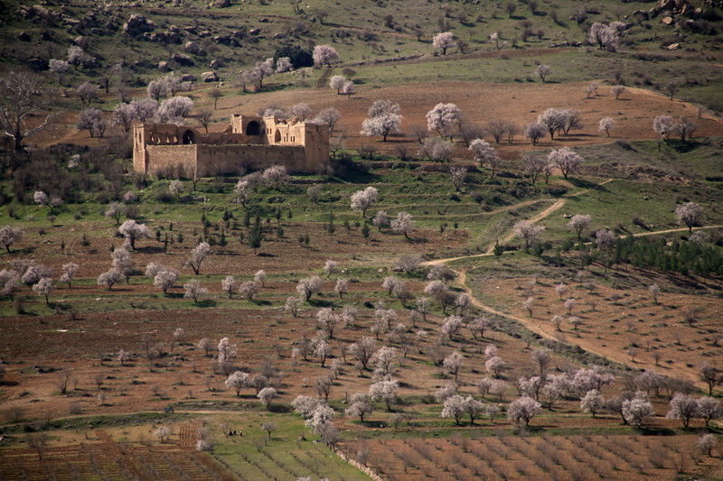 mardin, no people, Field, archaeology, built structure, environment, Stone House, Landscape, the past, large group of animals, on, old ruin, land, nature