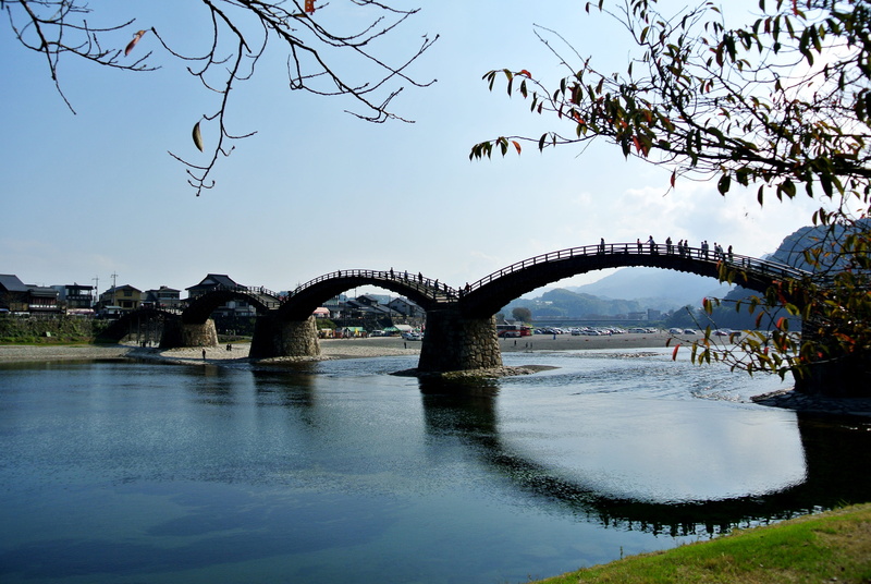 Bridge, plant, outdoors, bridge, arch, built structure, kintaikyo, tree, clear sky, branch, water, nature, river, bridge - man made structure, Japan, arch bridge