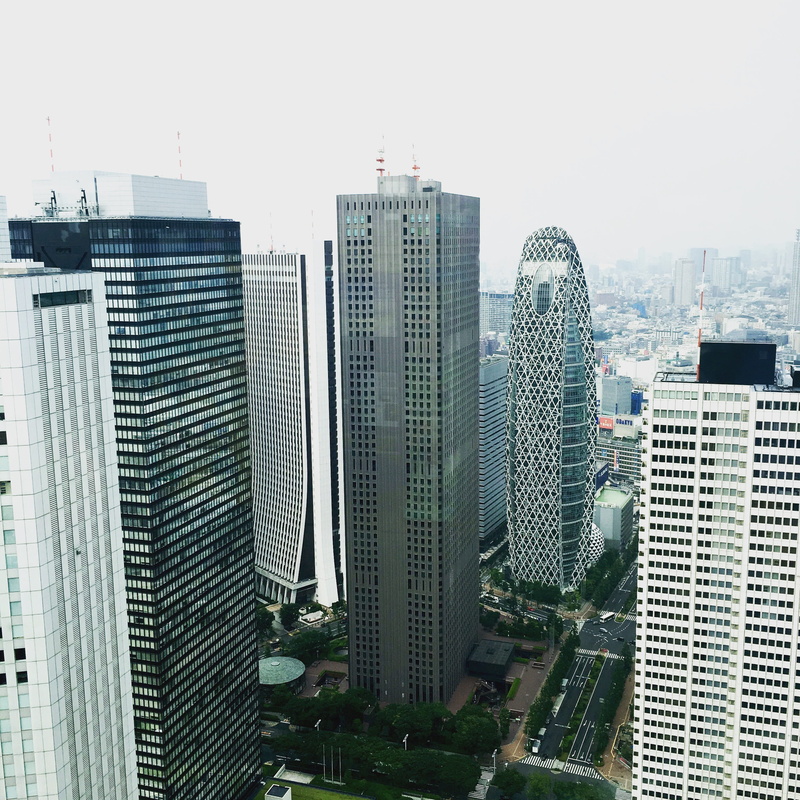 outdoors, view, clear sky, settlement, day, tall - high, city, residential district, nature, modern, urban skyline, shinkuki, 2K, building, tokyo, no people