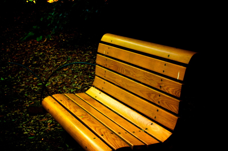 bench, shinjuku gyoen national garden, shinjuku-ku, relaxation, seat, high angle view, japan, empty, park, wood - material, leaf, outdoors, no people, yellow