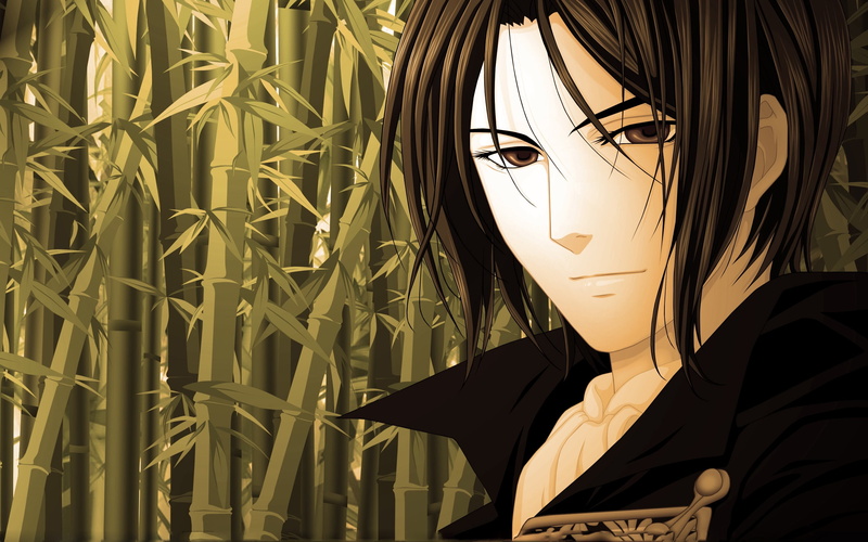 elegance, hairstyle, vector, close-up, headshot, men, mannequin, black, beautiful woman, human representation, shinsengumi kitan, caucasian Ethnicity, anime