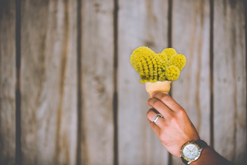 giving, human body part, sweet food, married, food and drink, wood - material, positive emotion, flower, human Hand, mixup, outdoors, yellow, cone, frozen
