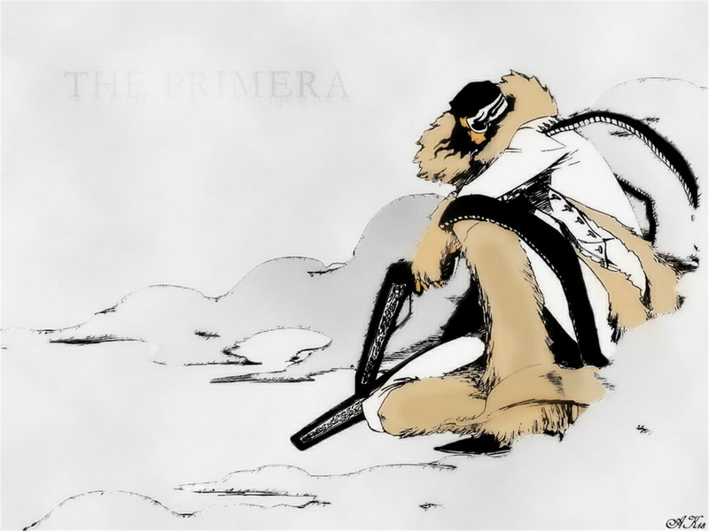 Coyote Starrk, Bleach, 720P