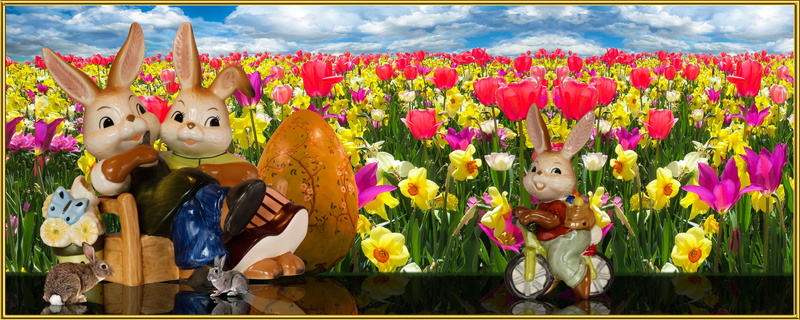 nature, celebration, daffodils, plant, grandpa, outdoors, easter egg, human representation, figures, egg, sky, flower head, easter greeting, belief, child