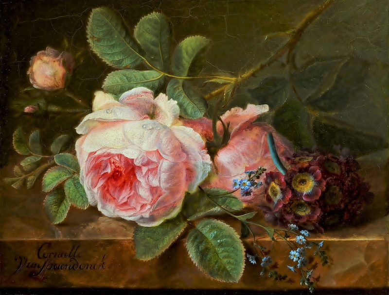 Flower, Still Life, Painting, 1080P, Rose, Artistic, Pink Rose