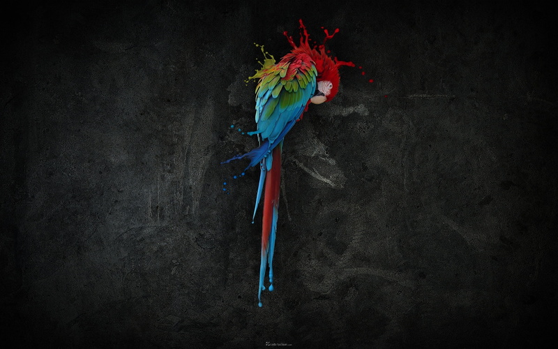 teal, coming, 2K, life, back, parrot, painting, red