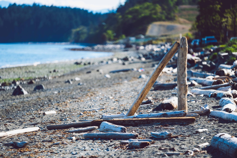 day, landscape, nature, absract, tree, focus on foreground, water, wood - material, a, beach, vancouver island, close-up, no people, 5K, pollution, wood