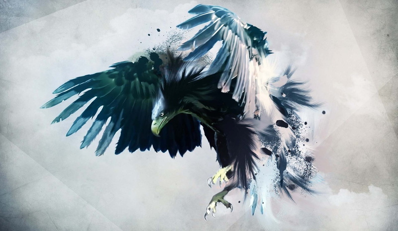 animal themes, nature, Abstract 3D Vectors, flapping, low angle view, motion, day, animals in the wild, cool pictures, Abstract 3D Art, flying, Abstract Art  HD