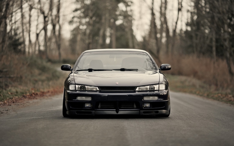 plant, transportation, tree, land, motor vehicle, mode of transportation, land vehicle, nissan silvia s14, outdoors, the way forward, motion, forest, road