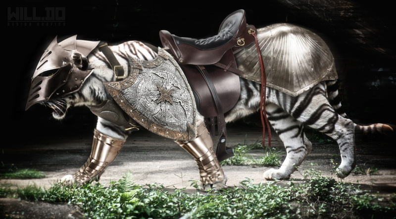 animals, tiger, armor, 2K, medieval, Warcraft