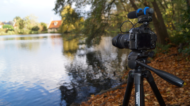 filming, dslr, tree, tripod, body, day, technology, picture, frame, film, promotional, stand, digital camera, photographing, camera - photographic equipment