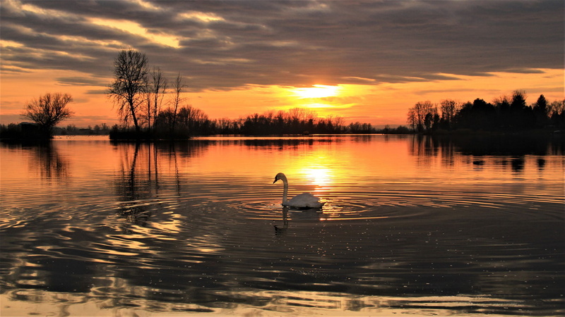 county, sunset, lebedov, lake, walking, desktop, beautiful, kri, oderica, evci, koprivnica, 1080P, northern, hd, region, croatia