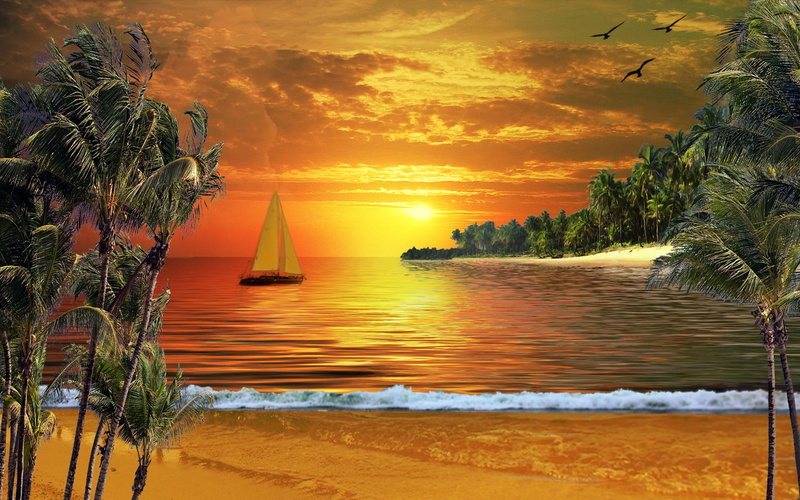 1080P, 3d and abstract, beach, spring, break, version, miamibeach, boat