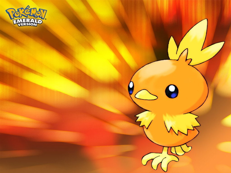 Orange, Pokémon Emerald Version, Pokémon, 480P, Torchic (Pokemon)