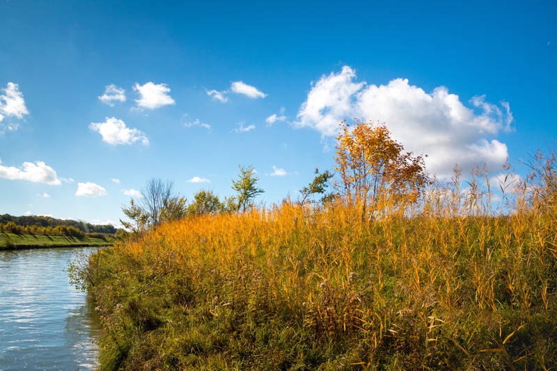 non-urban scene, beauty in nature, environment, reflections, bright, sky, river, outdoors, deciduous tree, beautiful, idyll, color, young tree, blue sky