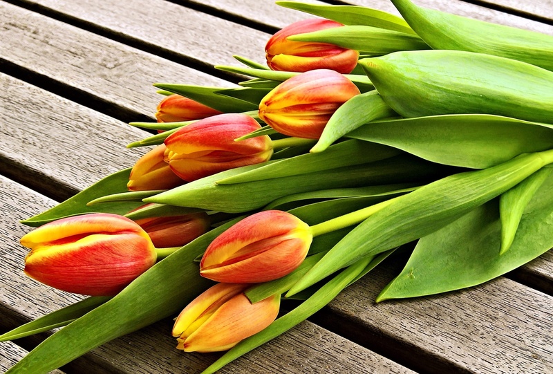 flower Head, leaf, petal, gift, food and drink, beauty in nature, planks, nature, brown, bouquet, spring greetings, 2K, thanks to smaller, food, day, cut flowers