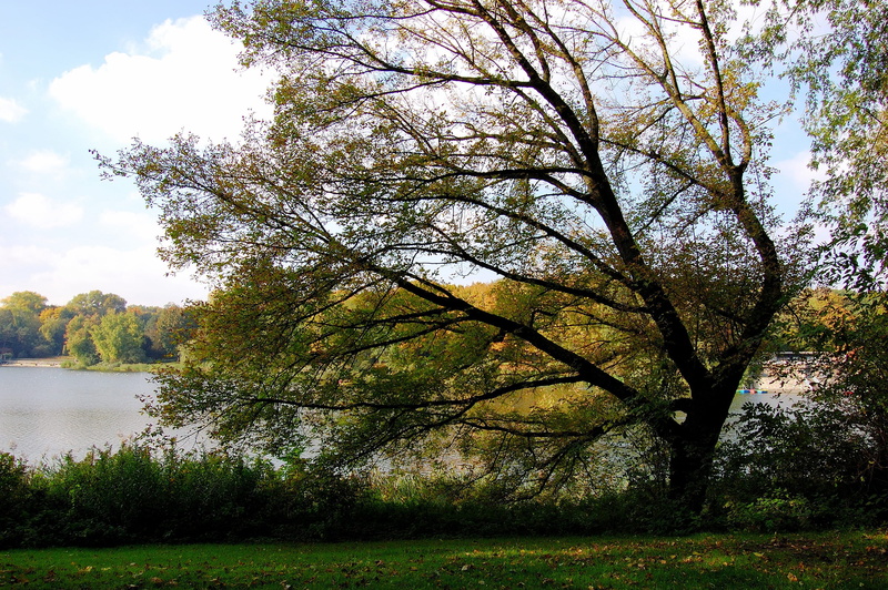windschief, no people, cloud - sky, Lake, green color, scenics - nature, growth, berger lake, tranquility, leaves, 2K, plant, branch, grass, tranquil scene