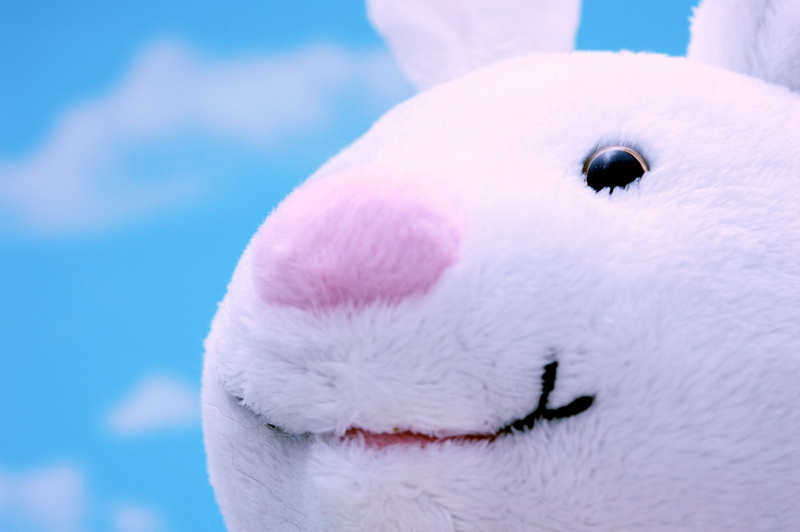 close-up, Happy Easter, blue, cute, rabbit, 2K, close, plush toy, fluffy, JD, Easter Bunny, cc, white, photo, toy, white rabbit, btp, picture, image, clouds