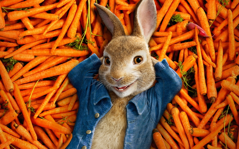 k, 4K, 2018, Peter, Rabbit, Animation