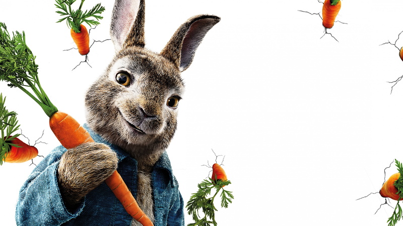 5k, Peter Rabbit, gray, rabbit, 4K