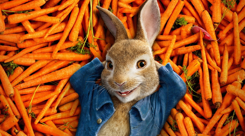 eating, movie, herbivorous, carrot, vertebrate, pets, looking at camera, food and drink, Others, food, portrait, rodent, animal wildlife, one animal, peter