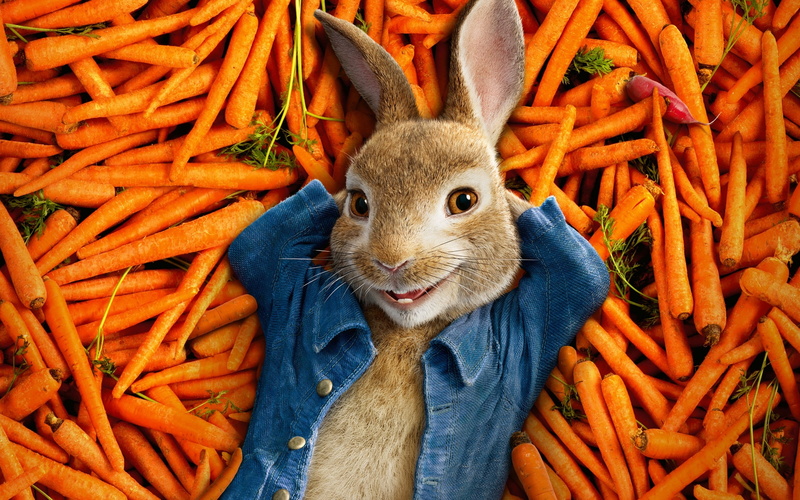 portrait, animals in the wild, orange color, peter, close-up, food and drink, root vegetable, rabbit, vegetable, looking at camera, whisker, outdoors, movie