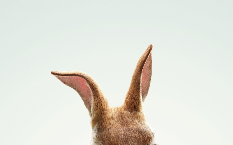 Peter Rabbit, Movie, 1080P