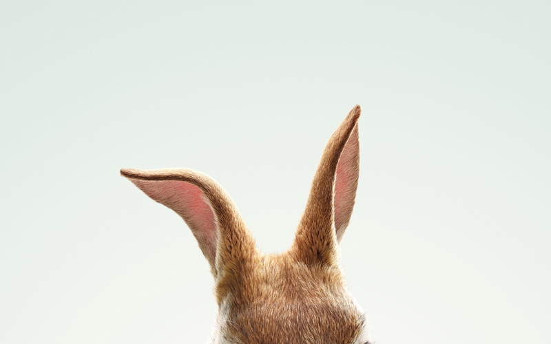 Rabbit, Peter, 2018, 2K, Movie