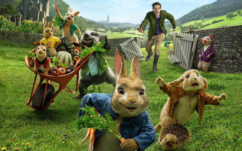 plant, outdoors, people, 4K, field, mammal, lifestyles, day, grass, k, group of people, representation, group of animals, Rabbit, real people, land, full length
