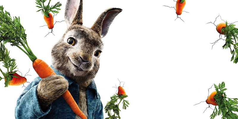 2018, Animation, gray, 4K, rabbit, 4K, Peter Rabbit