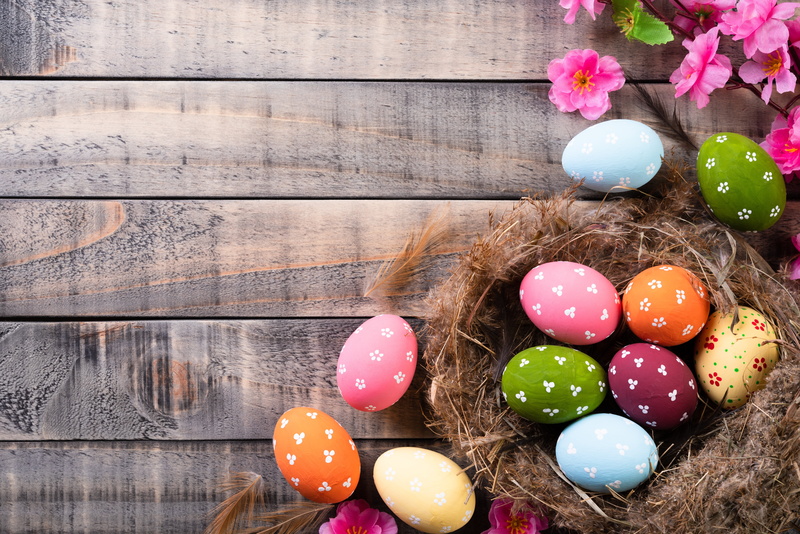 Nest, Easter Egg, Holiday, 5K, Easter