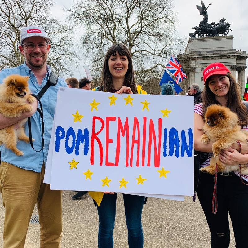 protest, adult, clothing, pet, women, domestic, united kingdom, pets, costume, london, domestic animals, one animal, remain, people, person, smiling, crowd